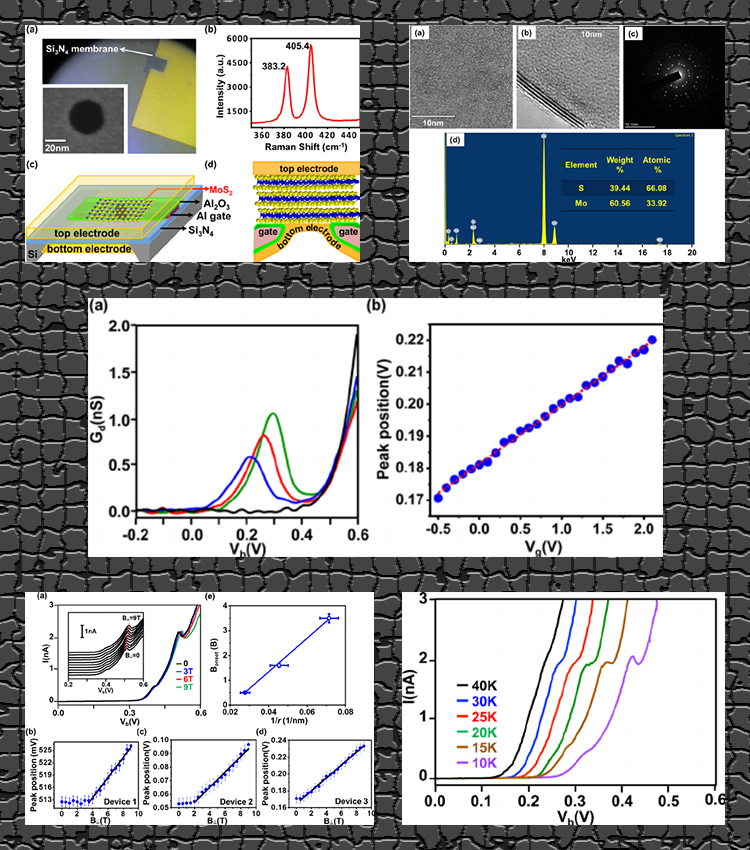 Nano Letters, 14, pp 2381-2386, 2014.